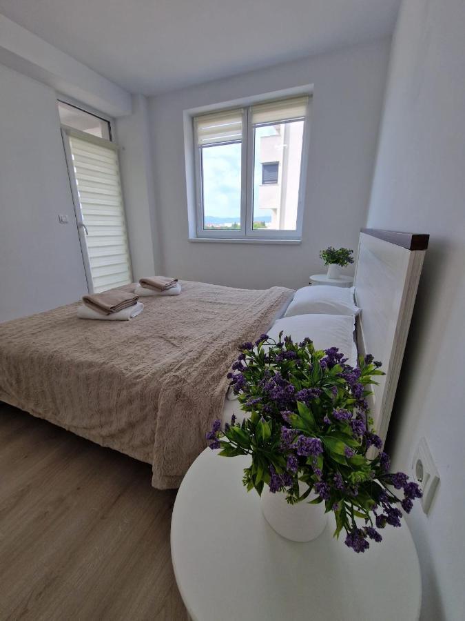 San Casa Apartment Sebeş Exteriér fotografie